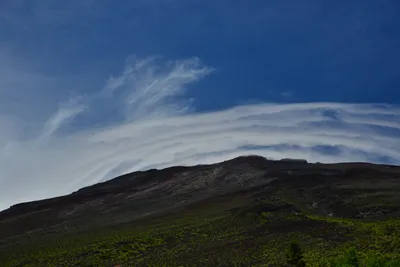 DSC_3646 (Large).JPG